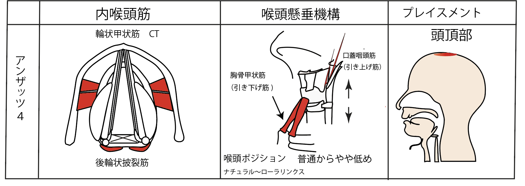 アンザッツ  オンラインレッスン