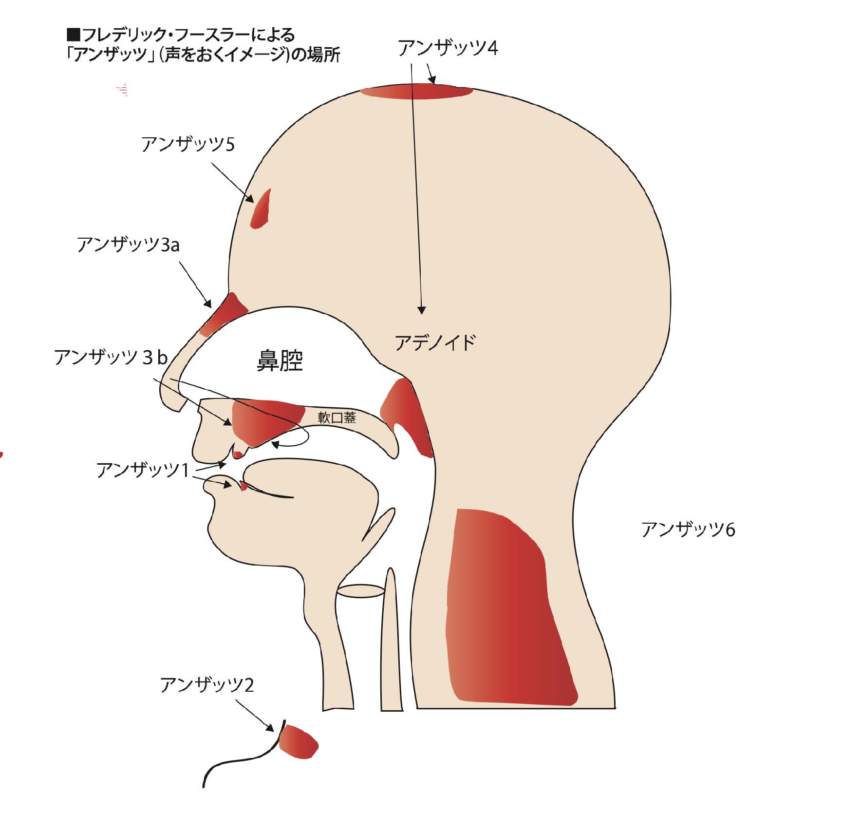 アンザッツについて - Walk On Voice Prime ベルティング ミックスボイス フースラー アンザッツ ボイトレ