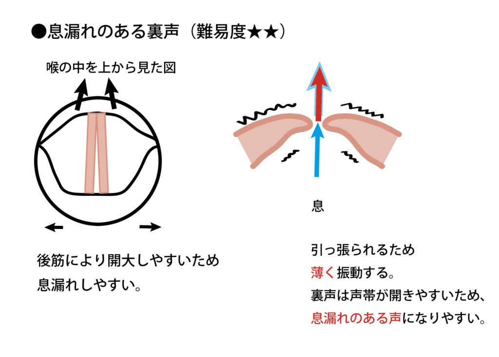 息漏れのある裏声　輪状甲状筋　CT