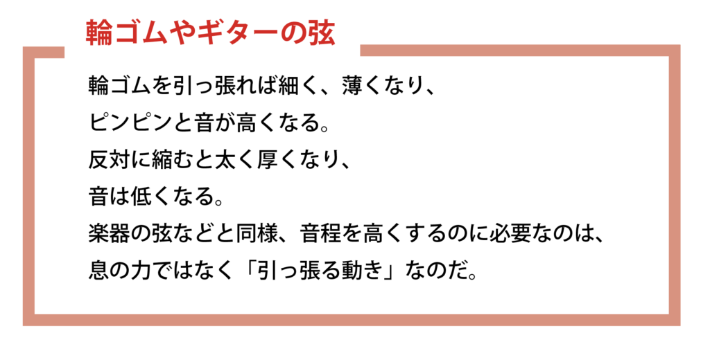 声帯は輪ゴム2