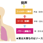 正しい発声の仕方　ソース・フィルタモデル