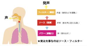 正しい発声の仕方　ソース・フィルタモデル