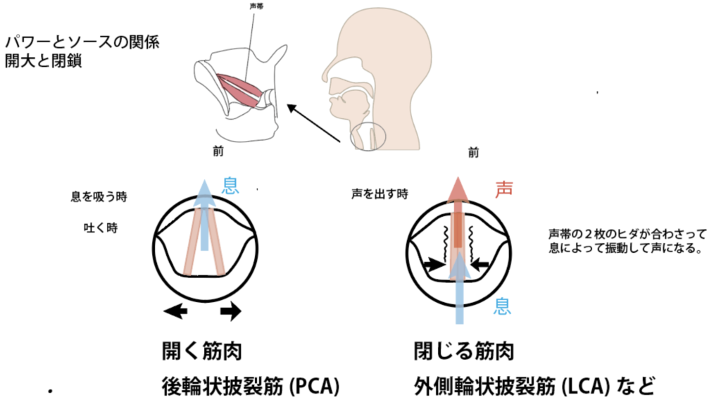 発声の仕方