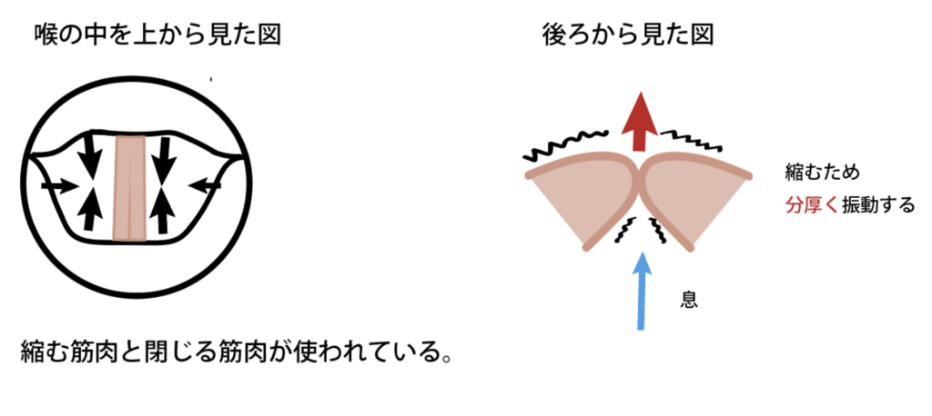 モーダルレジスタ